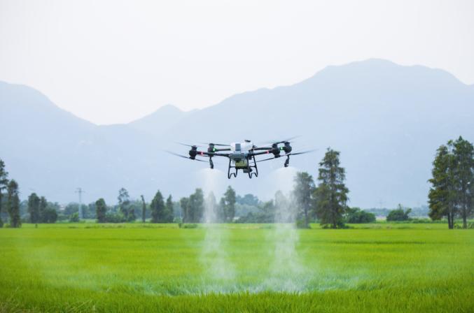 广州试点无人机运输苗木化肥上山 造林工效提高18倍